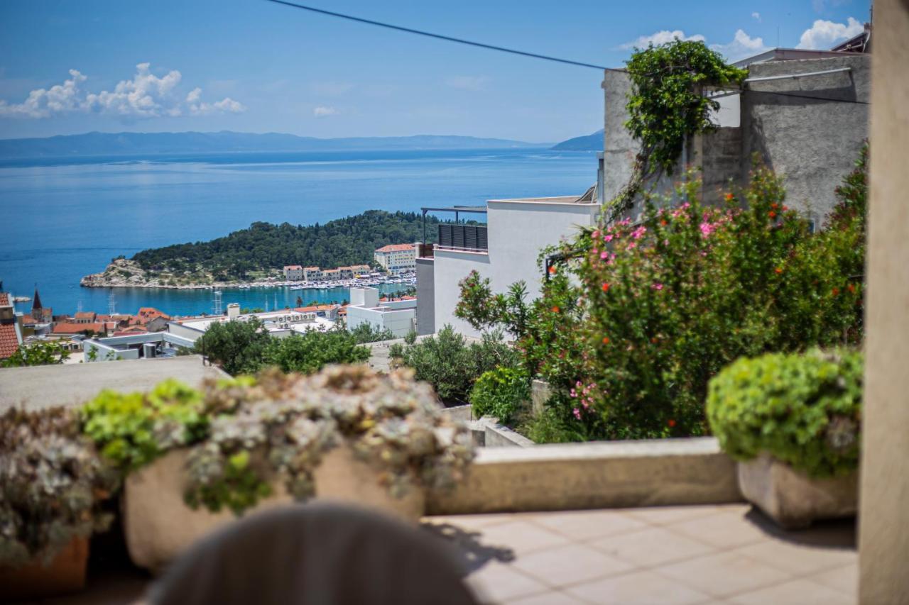 Apartment Branka *