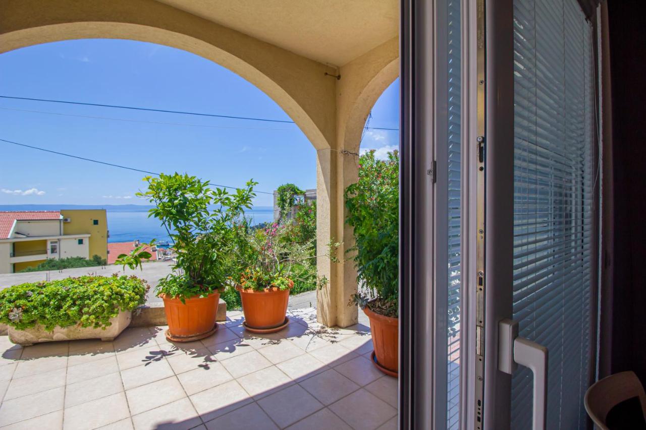 Apartment Branka