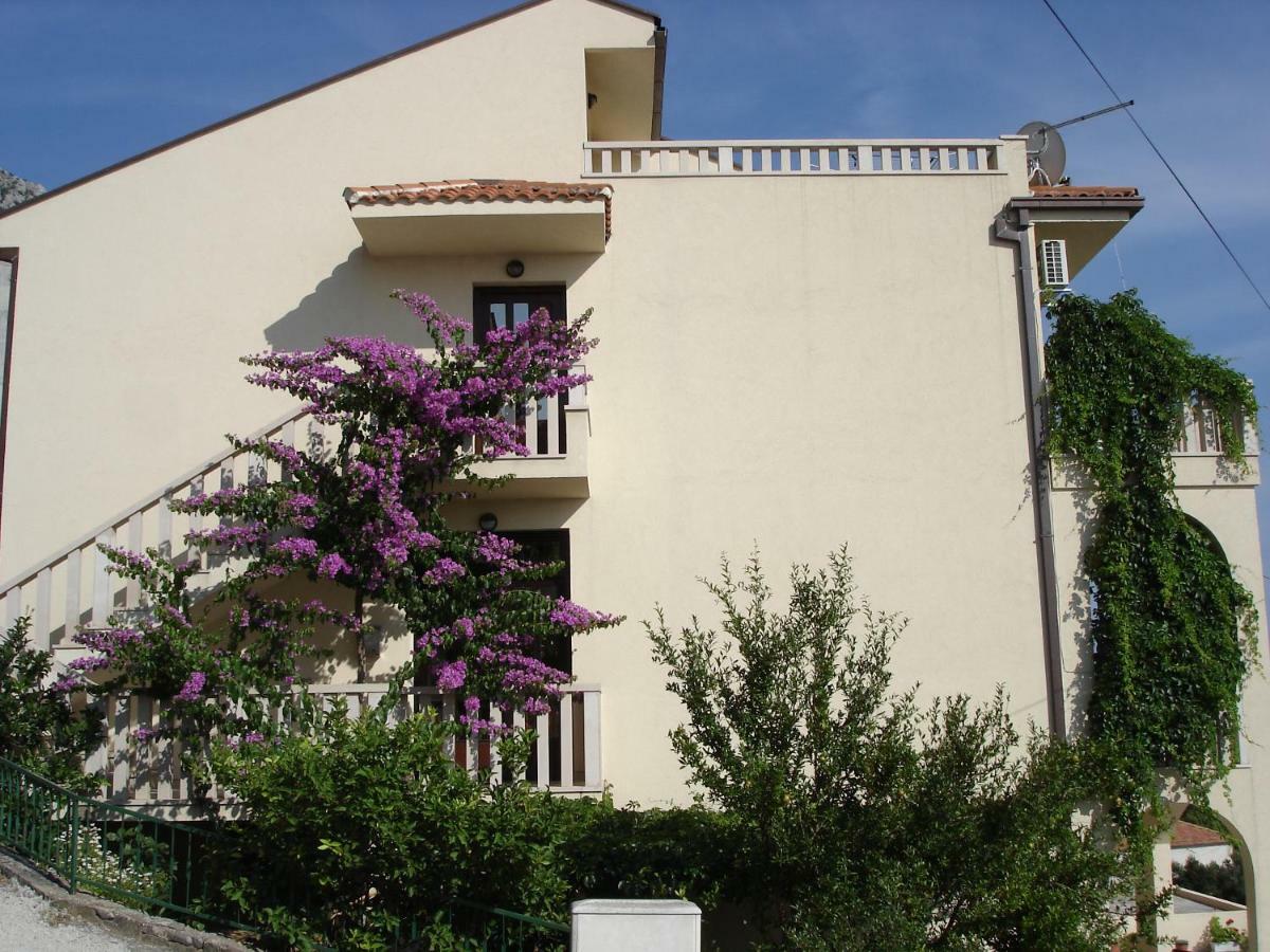 Branka Apartment *
